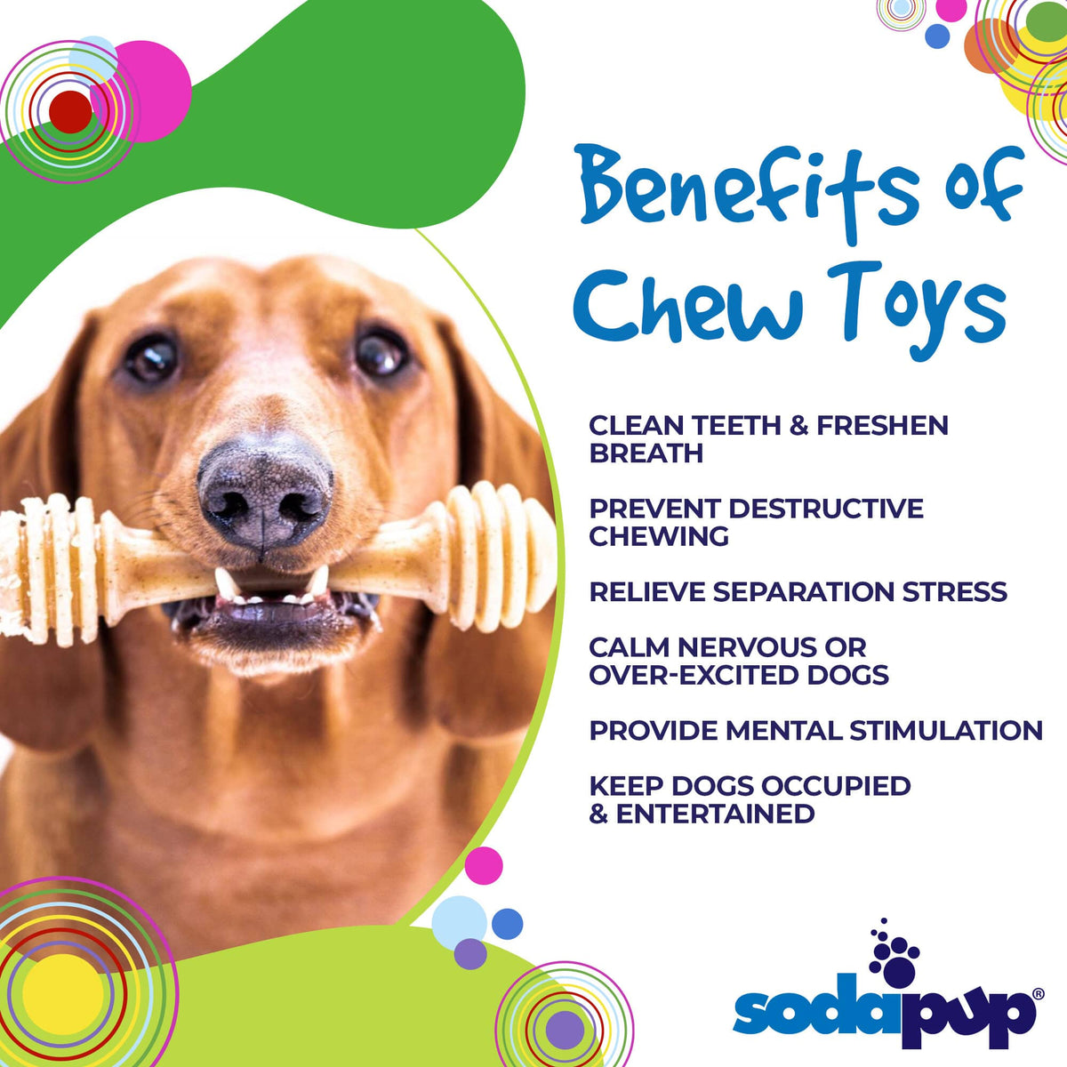 Honey Bone Nylon Dog Toy for Aggressive Chewers