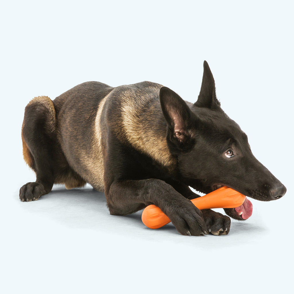 West Paw Hurley Durable Dog Chew & Fetch Toy