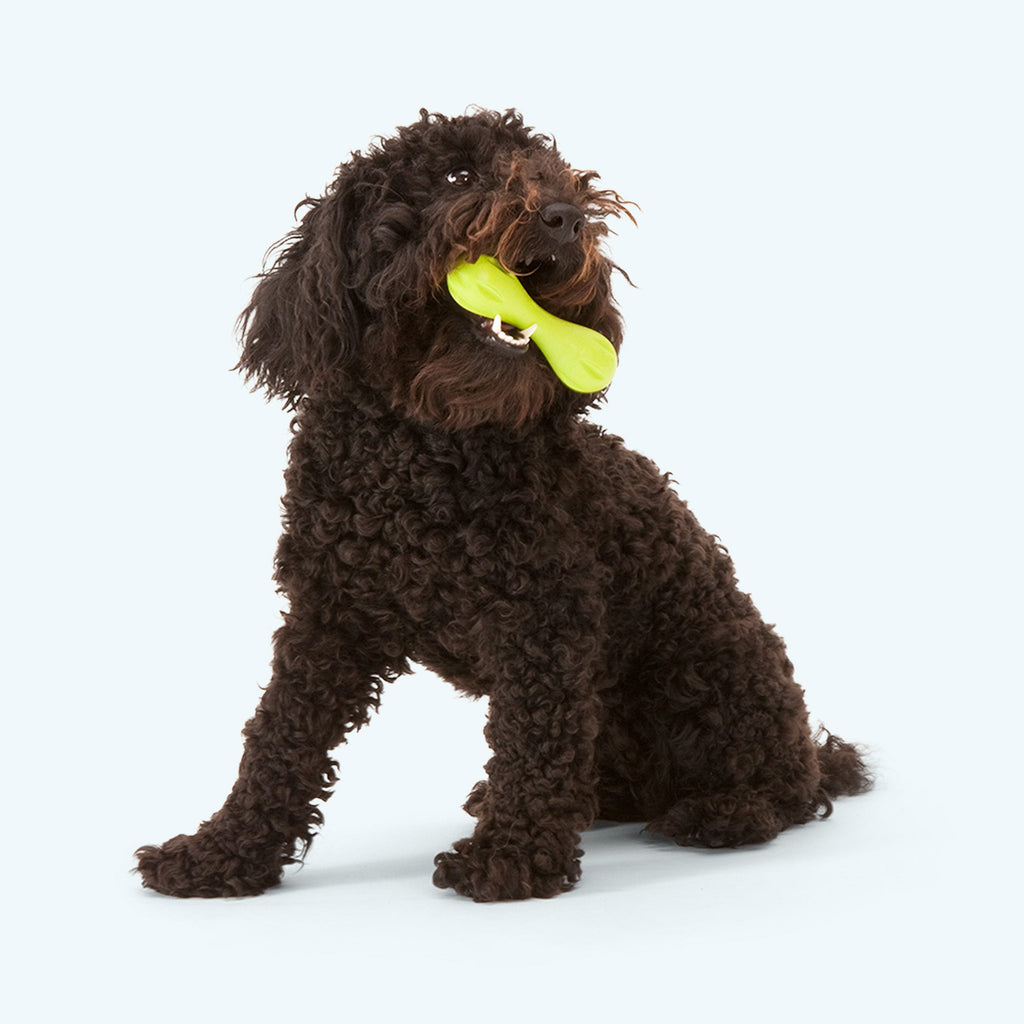 West Paw Hurley Durable Dog Chew & Fetch Toy