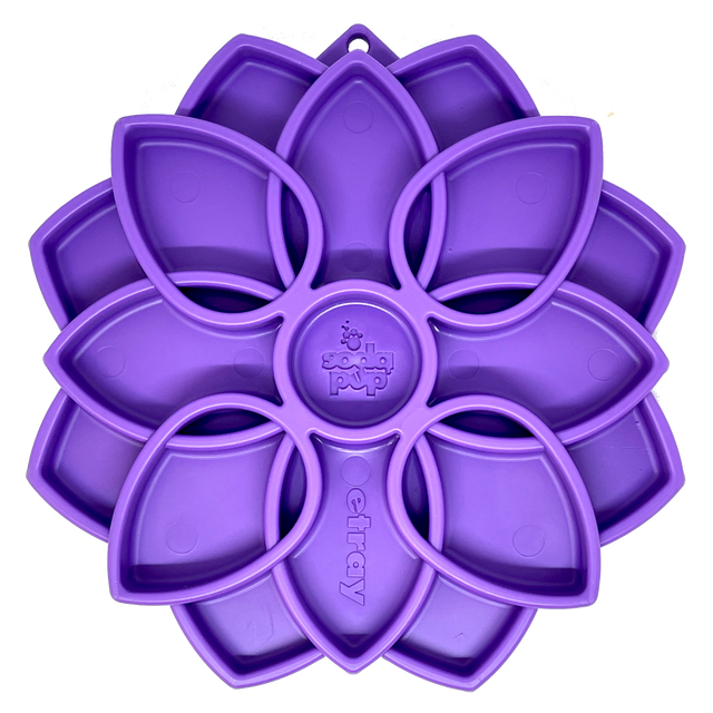 Mandala eTray Shallow Slow Feeder Dog Bowl for Enrichment | USA Made