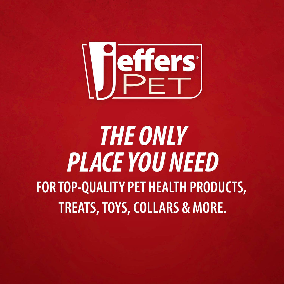 Jeffers Dual Level Pin Universal Slicker Pet Grooming Brush